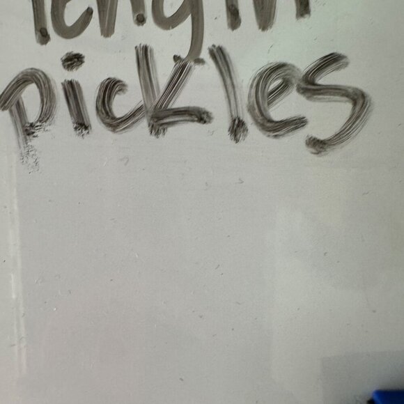 Patagonia Mens Size L Vintage River Short Liner Baggies - Picture 11 of 11